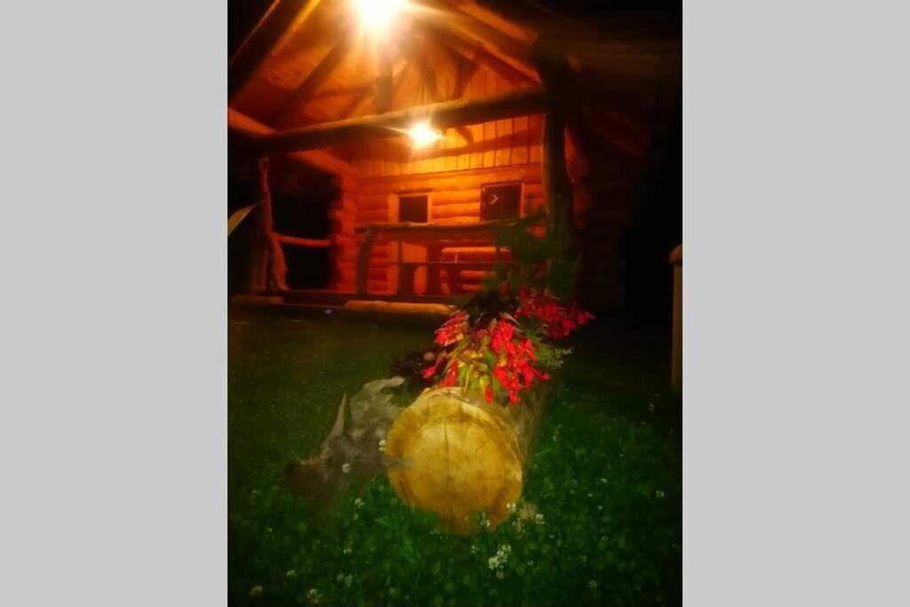 Hut At The Forest Male Brusnice Экстерьер фото