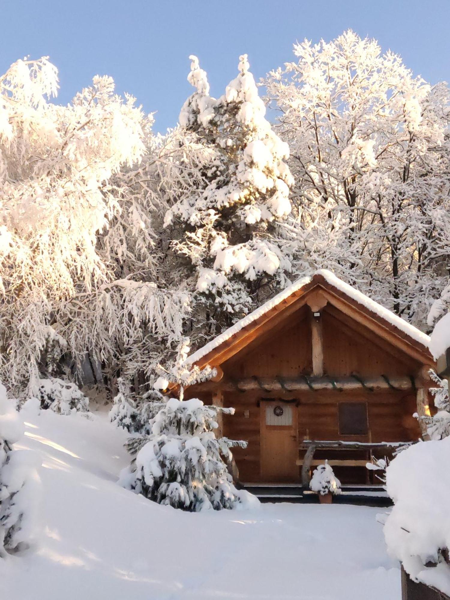 Hut At The Forest Male Brusnice Экстерьер фото