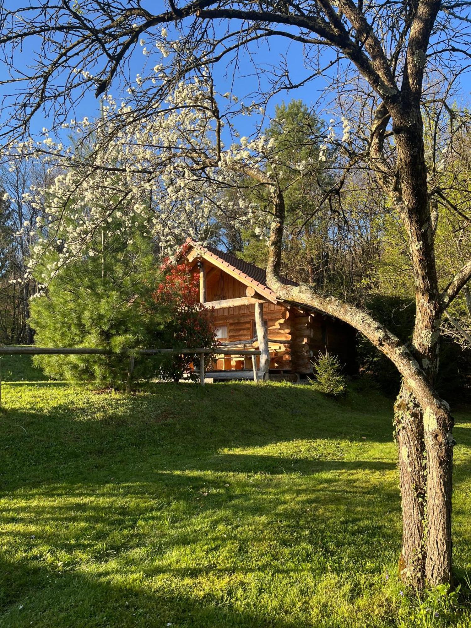 Hut At The Forest Male Brusnice Экстерьер фото
